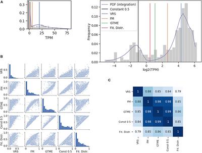 Gene Families With Stochastic Exclusive Gene Choice Underlie Cell Adhesion in Mammalian Cells